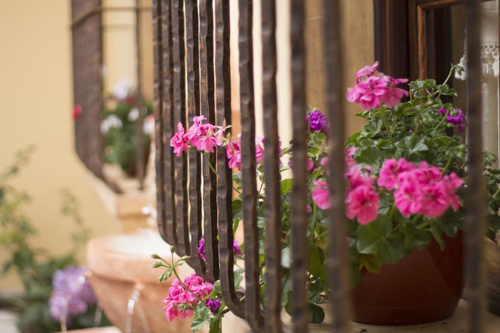 Casa Buena Vista Hotel Antigua Ngoại thất bức ảnh